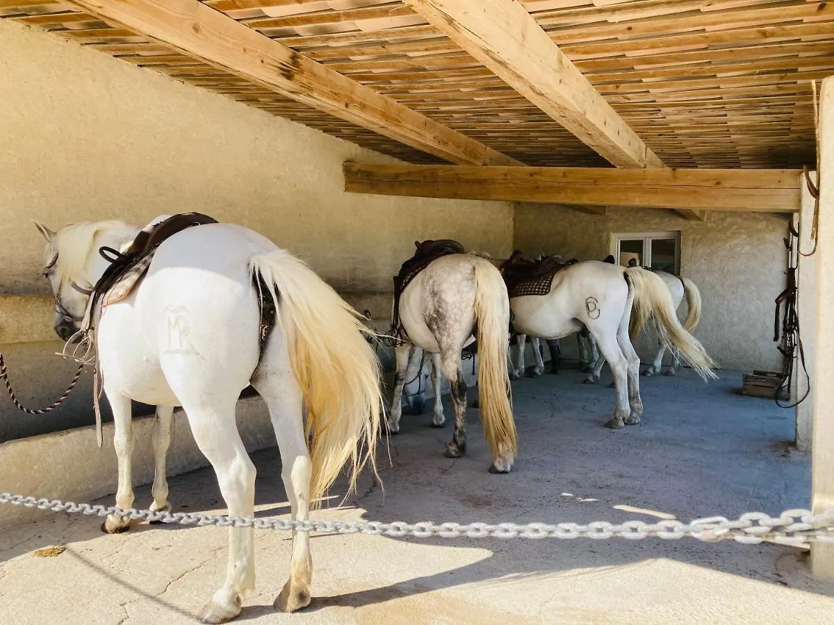 Manade Des Baumelles Bed & Breakfast Saintes-Maries-de-la-Mer