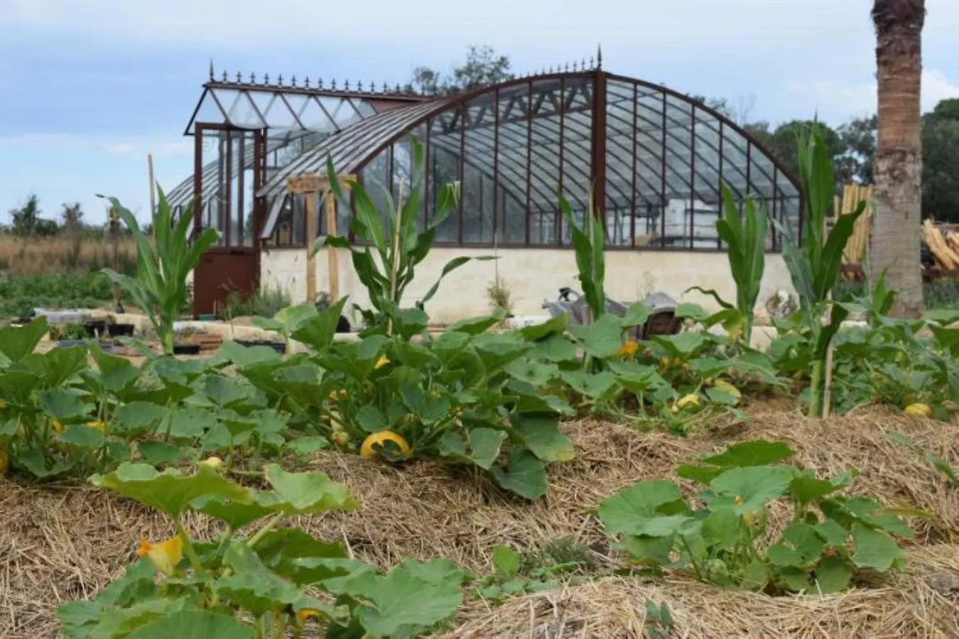 Manade Des Baumelles Bed & Breakfast Saintes-Maries-de-la-Mer